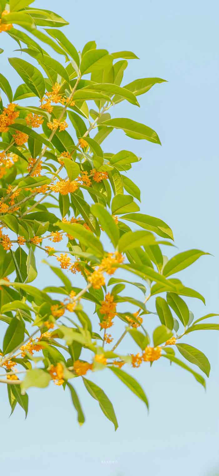 微信圖片_20230908080416